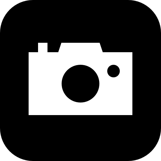 Camera interface brands and logotypes apple icon