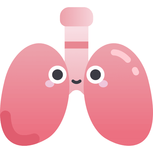 Lungs anatomy body part lungs icon
