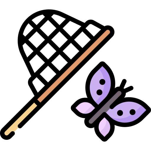 Catch nature butterfly holidays icon
