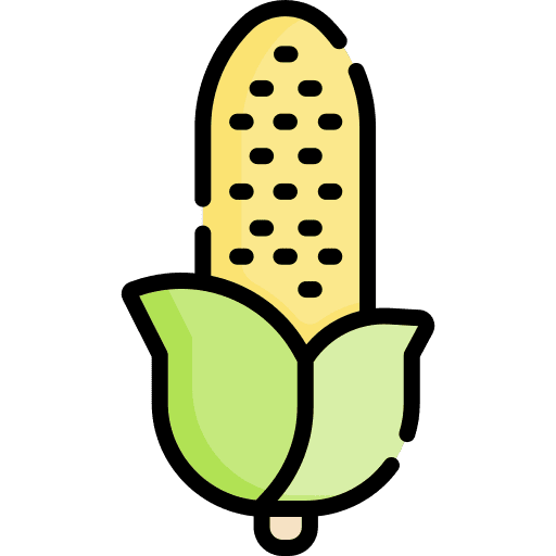 Corn farming and gardening food farm icon Corn farming and gardening food farm icon
