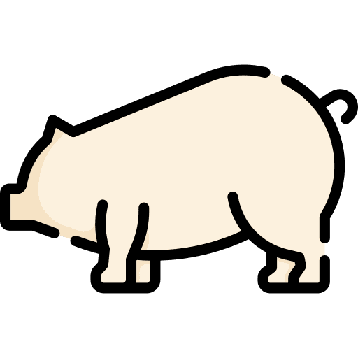 Pig fauna animal kingdom animals icon Pig fauna animal kingdom animals icon