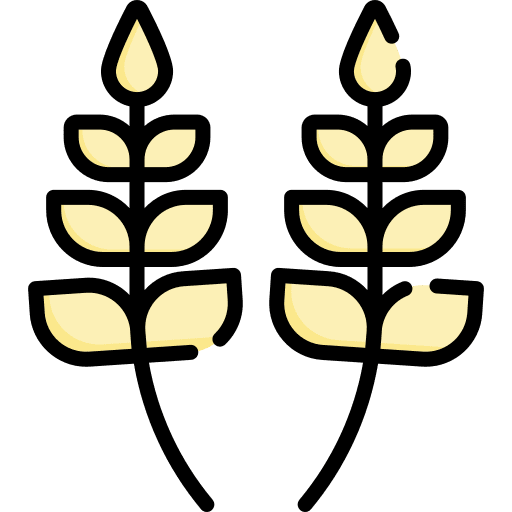 Wheat cereal seed food and restaurant icon Wheat cereal seed food and restaurant icon
