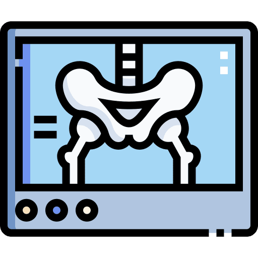 X rays radiography bone healthcare and medical icon