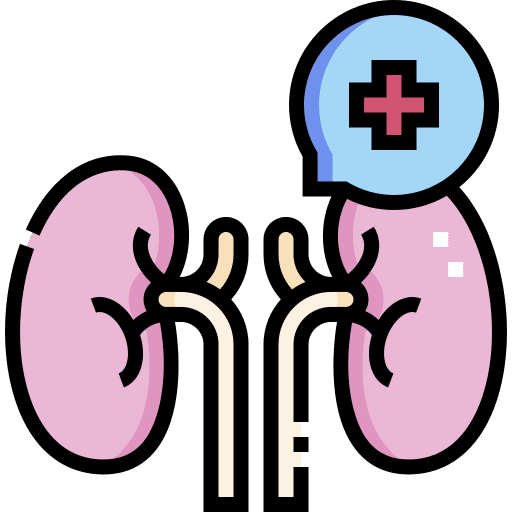 Kidney internal anatomy checkup icon Kidney internal anatomy checkup icon