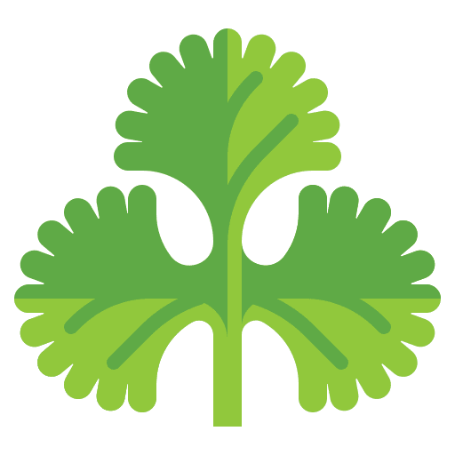 Coriander coriander nutrition plant icon
