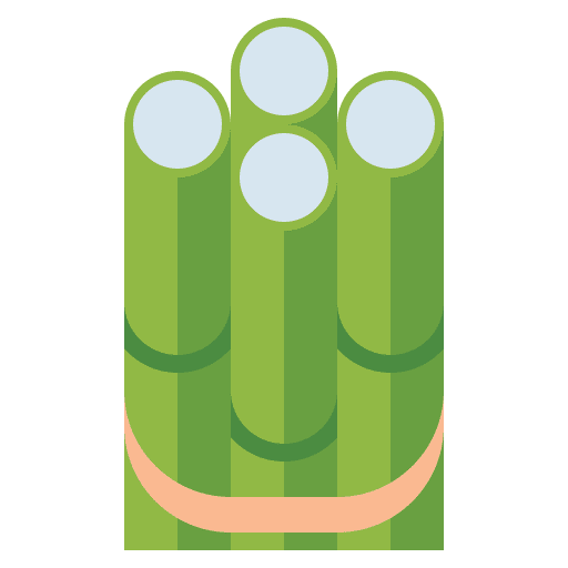Sugar cane botanical gastronomy nutrition icon