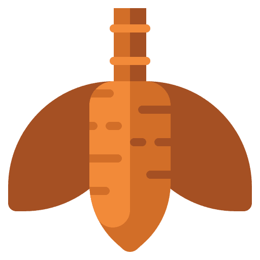 Yucca vegetarian edible yucca icon