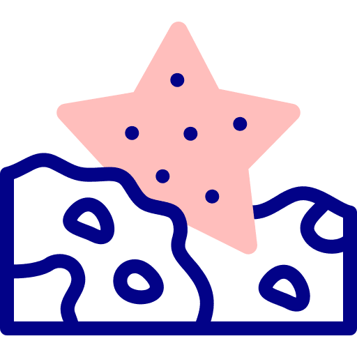 Starfish summer holidays starfish starfishes icon Starfish summer holidays starfish starfishes icon