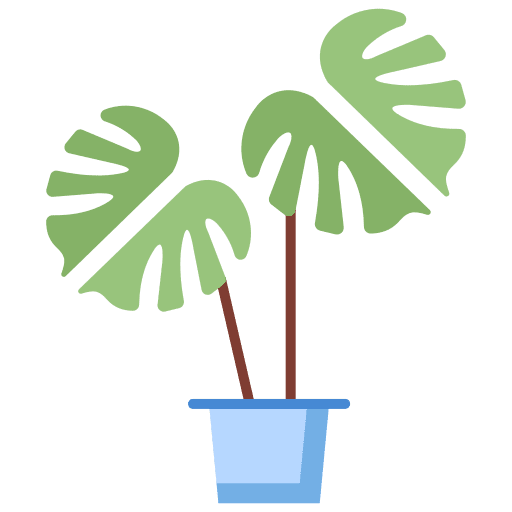 Plant monstera leaf monstera leaf icon