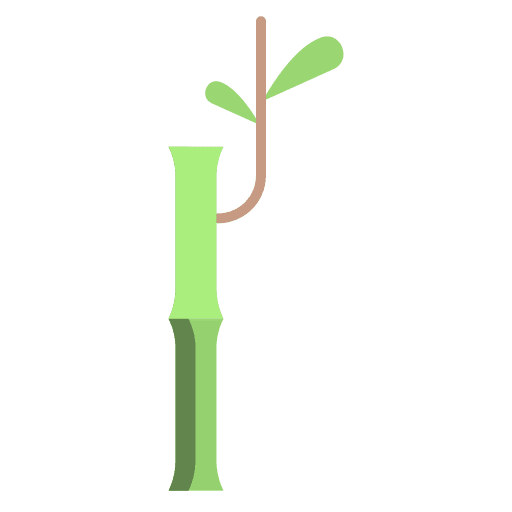 Bamboo branch nature leaves icon