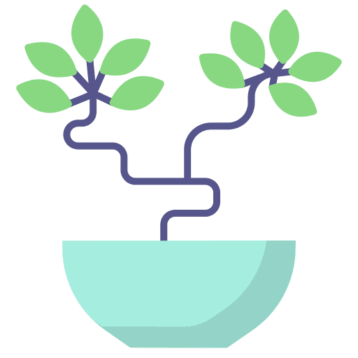 Bonsai tree bonsai decoration icon