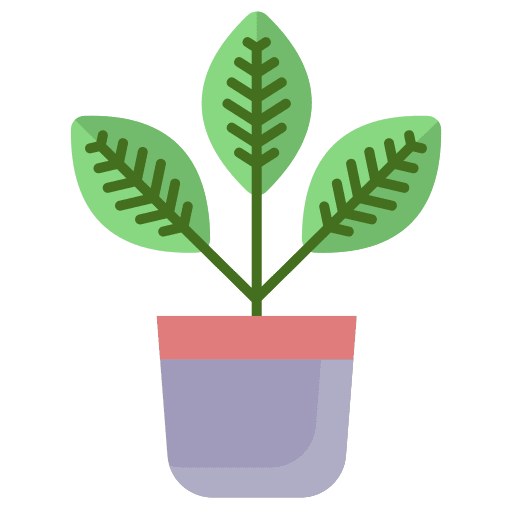 Croton indoor plants green nature icon Croton indoor plants green nature icon