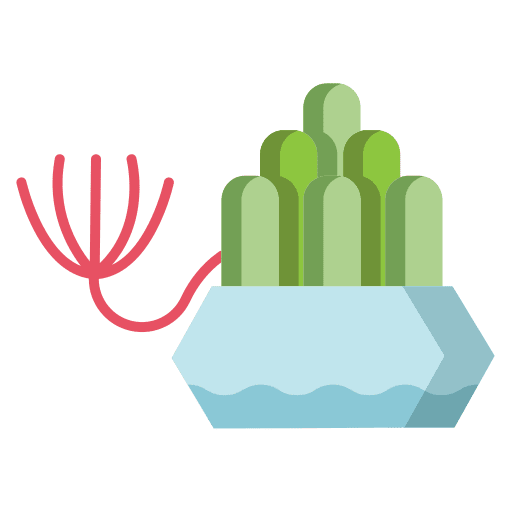 Plant house plants plant cactus icon Plant house plants plant cactus icon