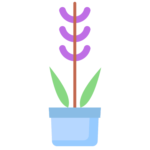 Plant lavender farming and gardening botanic icon Plant lavender farming and gardening botanic icon