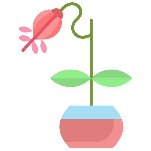 Plant nature herb vine icon Plant nature herb vine icon