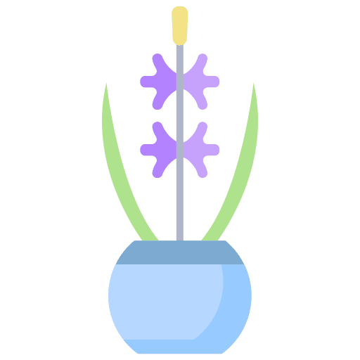 Plant nature hyacinth flower icon Plant nature hyacinth flower icon