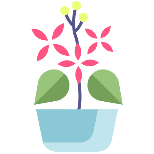 Plant nature petals flowers icon