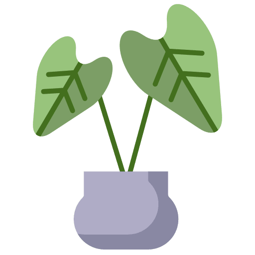Rubber plant plant nature pot icon