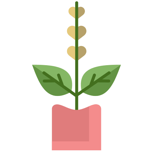 Plant plant farming and gardening indoor plants icon Plant plant farming and gardening indoor plants icon