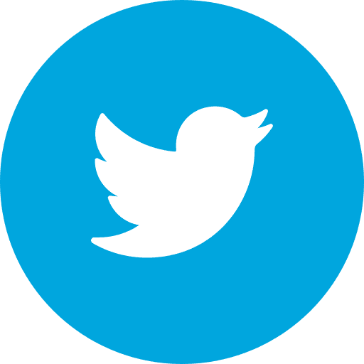 Twitter social twitter social badge logo icon