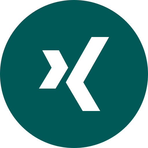 Xing xing logotype social network icon
