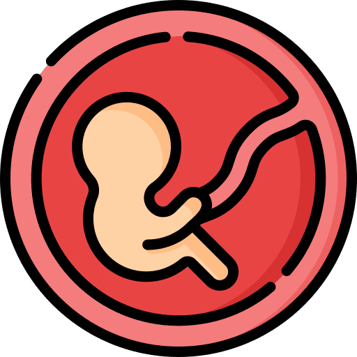 Fetus baby healthcare and medical womb icon Fetus baby healthcare and medical womb icon