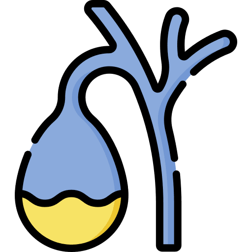 Gallbladder body part gallbladder bile icon Gallbladder body part gallbladder bile icon