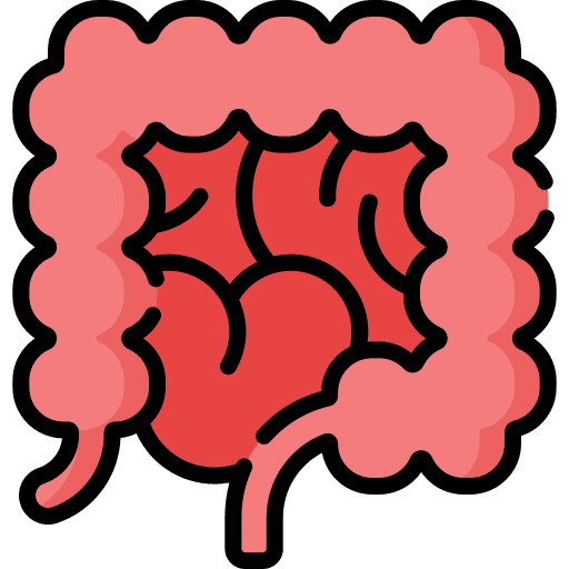 Large intestine healthcare and medical colon anatomy icon
