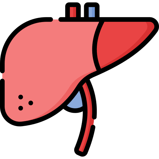 Liver healthcare and medical body part human body icon