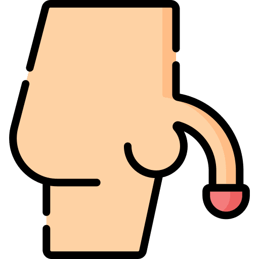 Penis human body reproductive system anatomy icon Penis human body reproductive system anatomy icon