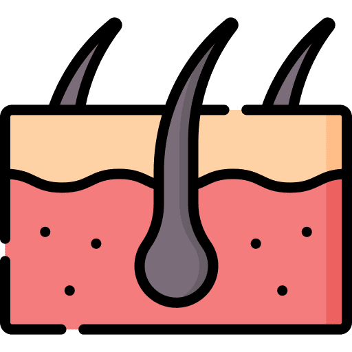 Skin hair body part skin icon