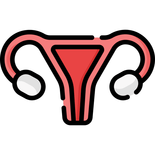 Uterus fallopian tubes healthcare and medical female organs icon Uterus fallopian tubes healthcare and medical female organs icon