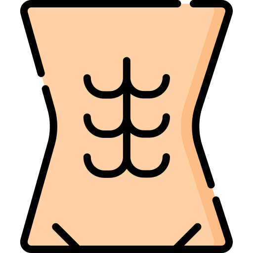 Abdominals anatomy body part muscle icon Abdominals anatomy body part muscle icon