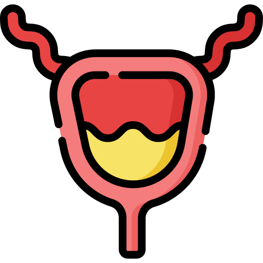 Bladder urethra healthcare and medical body organ icon Bladder urethra healthcare and medical body organ icon