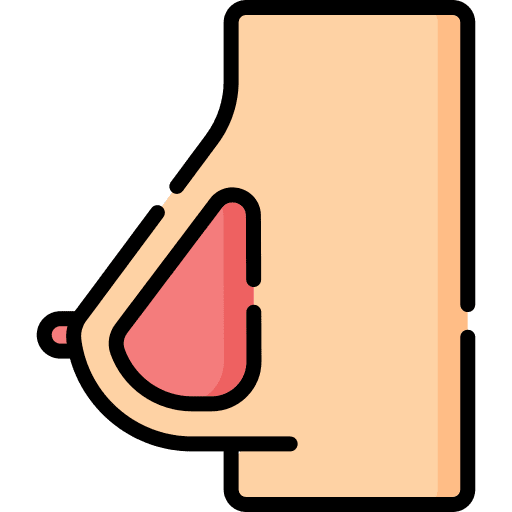 Breast female body part breast icon Breast female body part breast icon