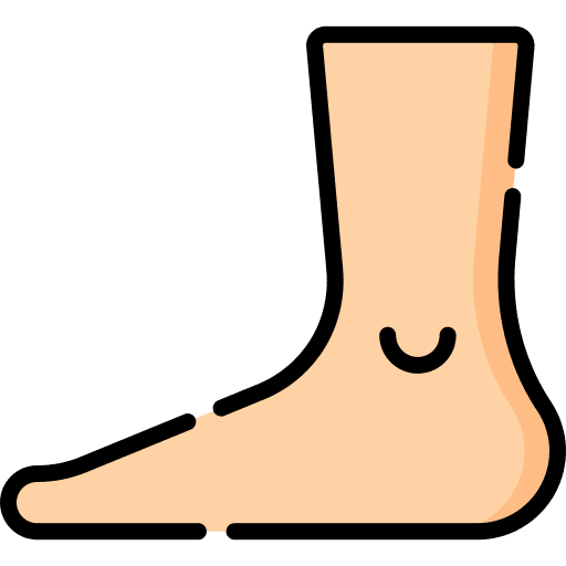 Foot leg feet human body icon Foot leg feet human body icon