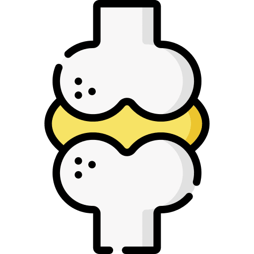 Joint joint anatomy human body icon Joint joint anatomy human body icon