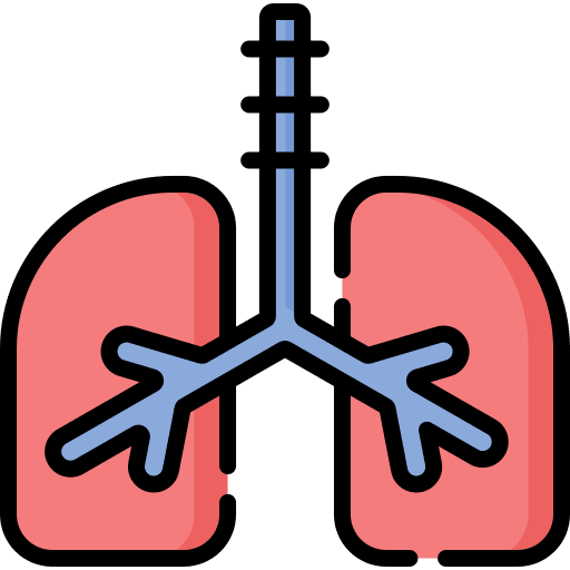 Lungs breath body part lungs icon Lungs breath body part lungs icon