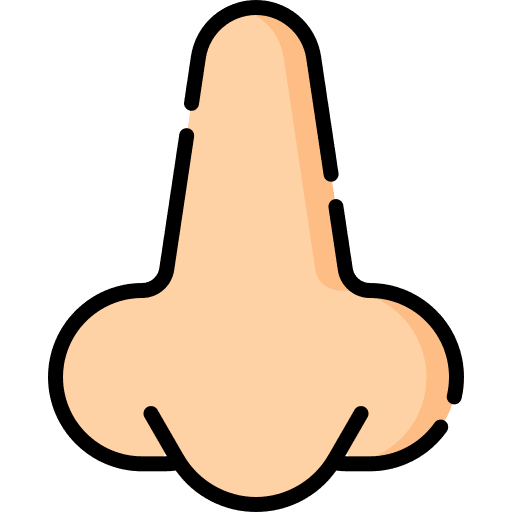 Nose healthcare and medical body part nose icon Nose healthcare and medical body part nose icon