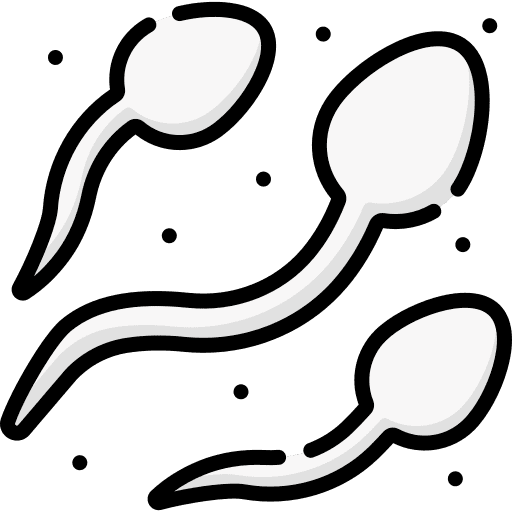 Sperm reproductive system pregnancy procreation icon Sperm reproductive system pregnancy procreation icon