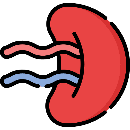 Spleen lymphatic vessel healthcare and medical body part icon Spleen lymphatic vessel healthcare and medical body part icon