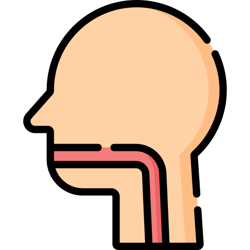 Throat human body head pharynx icon Throat human body head pharynx icon
