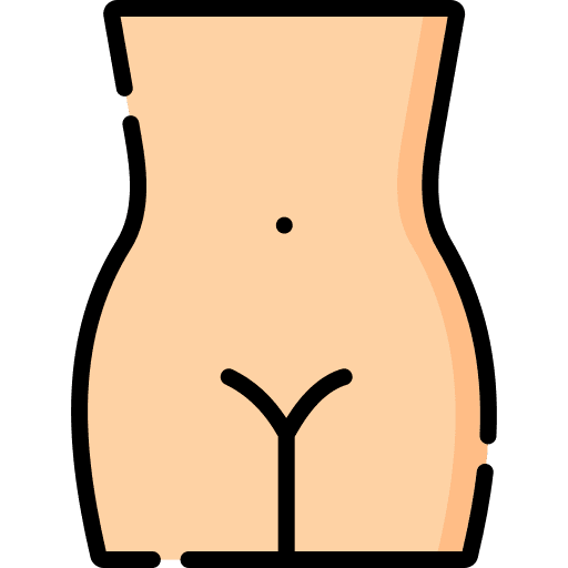 Vagina gynecology anatomy healthcare and medical icon Vagina gynecology anatomy healthcare and medical icon