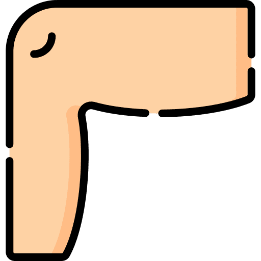 Leg anatomy muscle human body icon Leg anatomy muscle human body icon