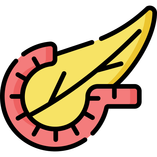 Pancreas healthcare and medical digestive system body organ icon Pancreas healthcare and medical digestive system body organ icon