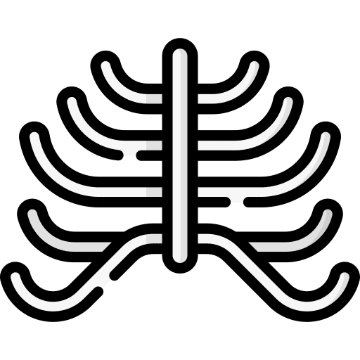 Ribcage healthcare and medical skeleton human body icon Ribcage healthcare and medical skeleton human body icon