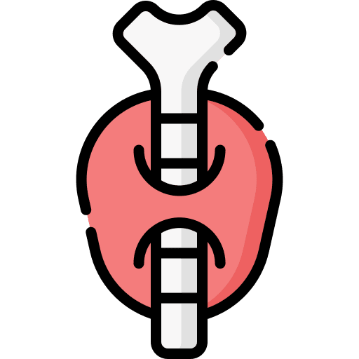 Thyroid body organ endocrine system human body icon Thyroid body organ endocrine system human body icon