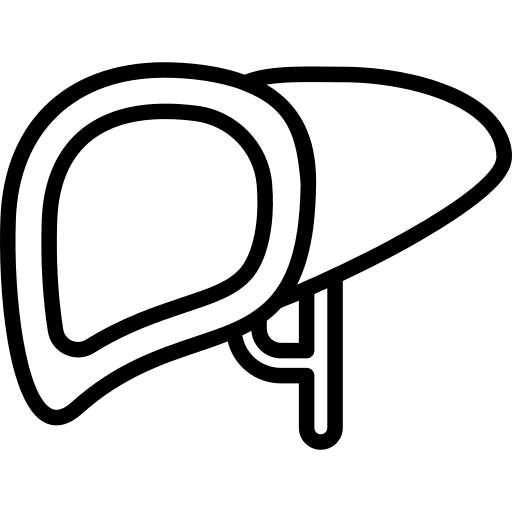 Liver organ medical checkup icon