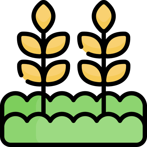 Wheat agriculture cereal grain icon Wheat agriculture cereal grain icon