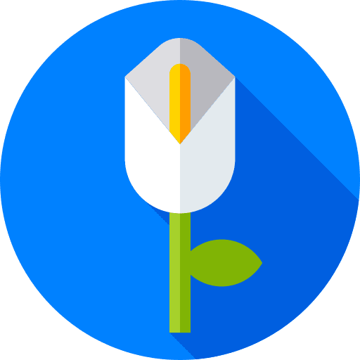 Lilly blossom botanical pansy icon